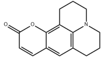 香豆素6H 